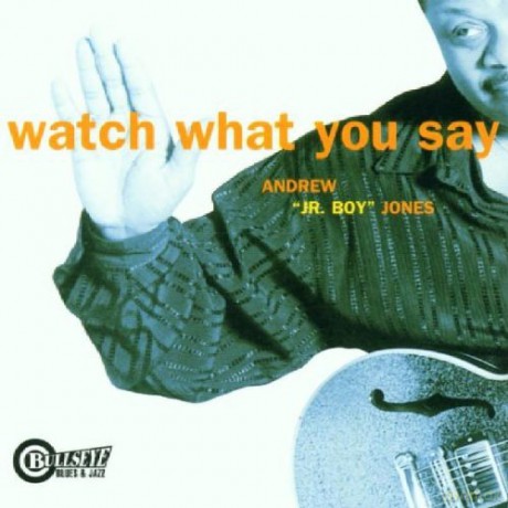 Andrew Jr. Boy Jones: Watch What You Say [CD]