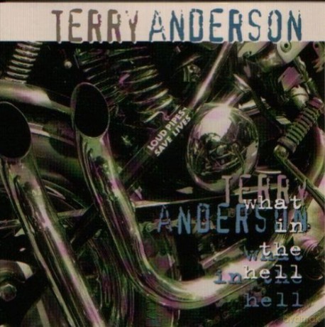 Terry Anderson: What In The Hell [CD]