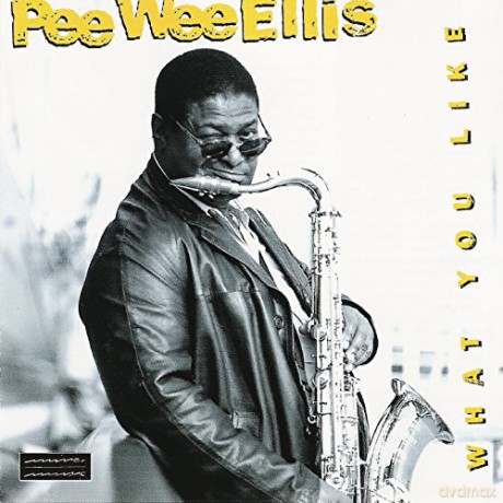 Pee Wee Ellis: What Like Feat.V.Morrison [CD]
