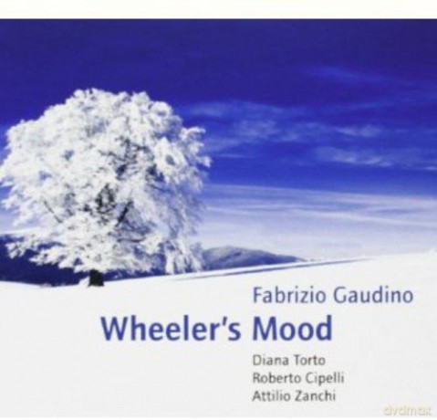 Fabrizio Gaudino: Wheeler's Mood [CD]