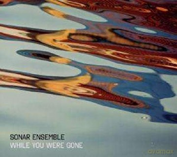 Sonar Ensemble: While You Were Gone [CD]
