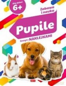 Zabawa i nauka. Pupile - Angelika Ogrocka [KSIĄŻKA]