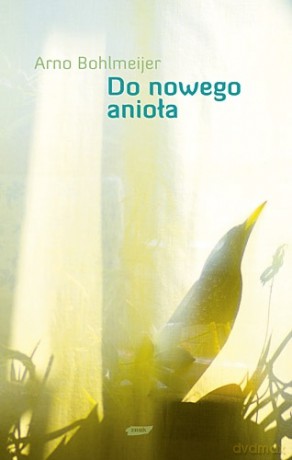 Do nowego anioła - Arno Bohlmeijer [KSIĄŻKA]