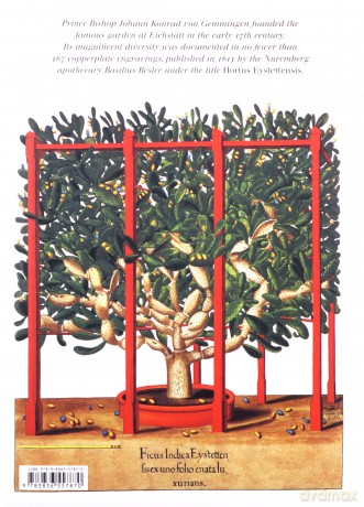 Basilius Besler's Florilegium - Walter Littger Klaus, Werner Dressendörfer [KSIĄŻKA]