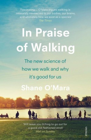 In Praise of Walking - Shane Omara [KSIĄŻKA]