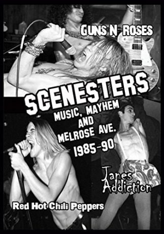 Scenesters: Music. Mayhem & Melrose Ave [DVD]