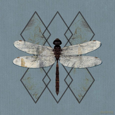 OHHMS: Close (digipack) [CD]