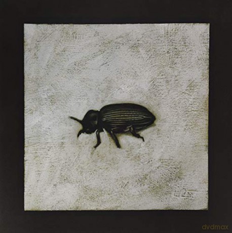 Gianni Maroccolo: Alone Vol. 4 [Winyl]