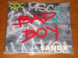 Sandy: Bad Boy [CD]