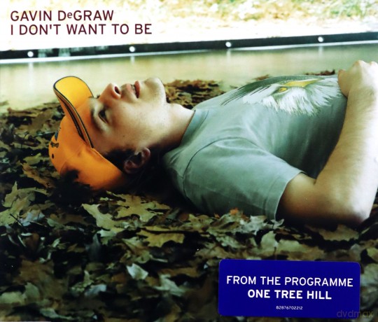 Gavin Degraw: I Don't Want To Be [CD]