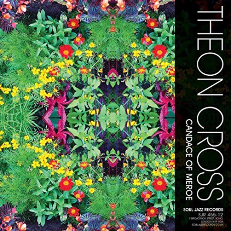 Compilation: Kaleidoscope-Theon Cross, Pocus [Winyl]