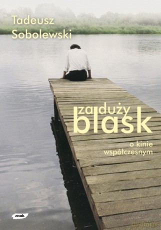 Za duży blask. O kinie współczesnym - Tadeusz Sobolewski [KSIĄŻKA]