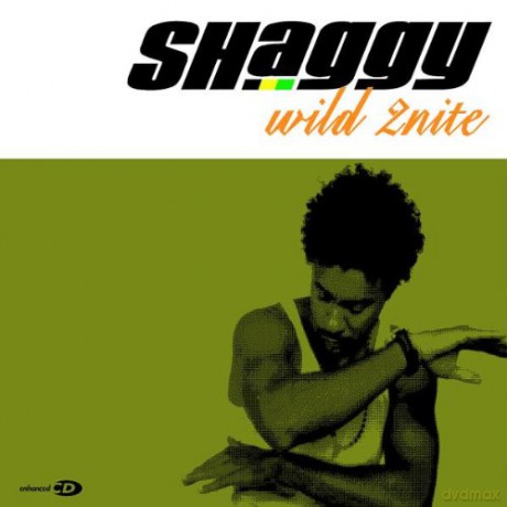 Shaggy: Wild 2nite [CD]