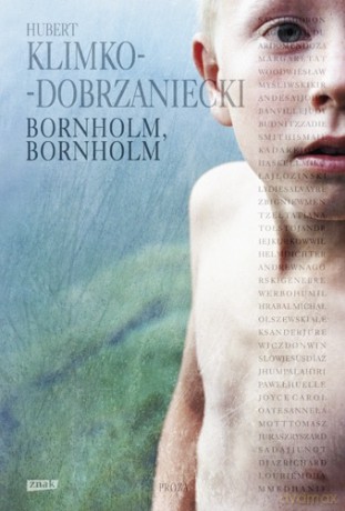 Bornholm. Bornholm - Hubert Klimko-Dobrzaniecki [KSIĄŻKA]