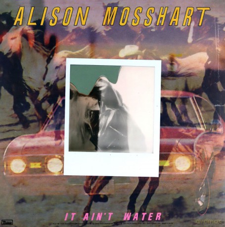 Alison Mosshart: Rise [Winyl]