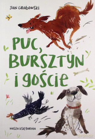 Puc, Bursztyn i goście - Jan Grabowski [KSIĄŻKA]