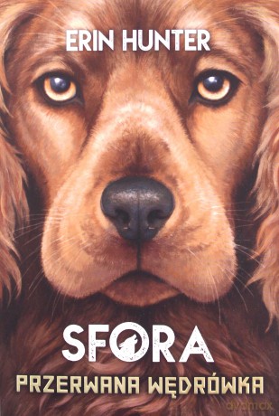 Sfora Przerwana wędrówka - ERIN HUNTER [KSIĄŻKA]
