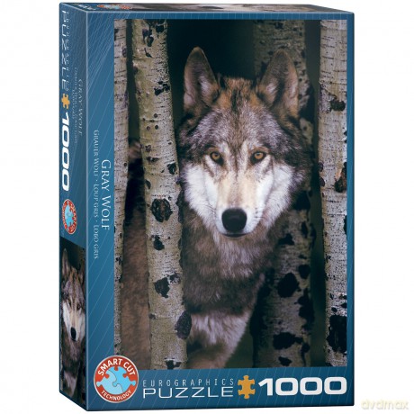 EUROGRAPHICS 1000 el. Szary wilk [PUZZLE]