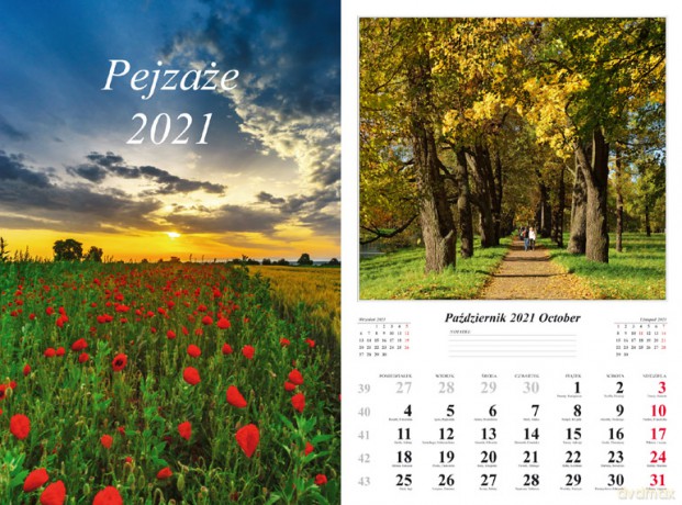 Kalendarz 32x48 7-k Pejzaże 2021 [KALENDARZ]