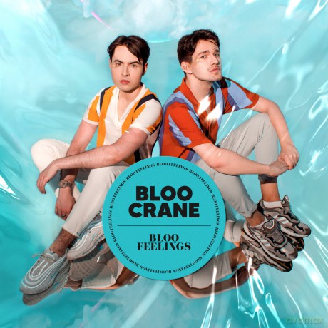 Bloo Crane: Bloo Feelings [CD]