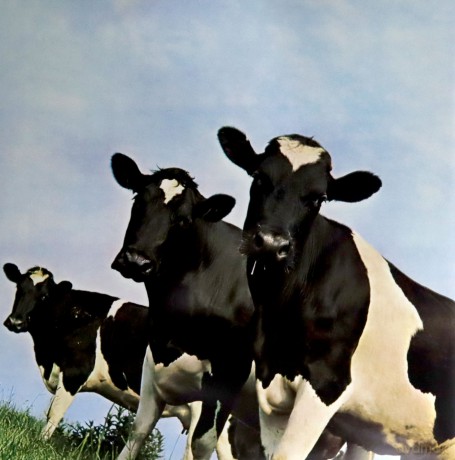 Pink Floyd: Atom Heart Mother [Winyl]