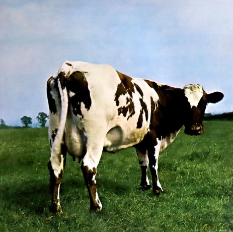 Pink Floyd: Atom Heart Mother [Winyl]