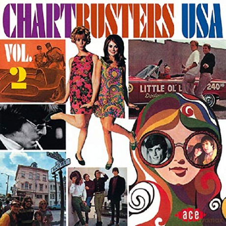 Chartbusters Usa Vol.2 [CD]