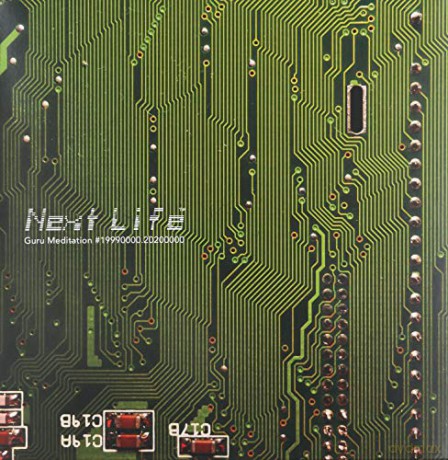 Next Life: Guru Meditation [Winyl]