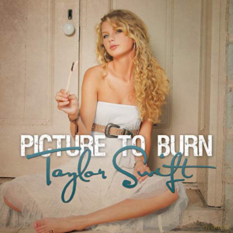 Taylor Swift: Picture To Burn (Smoke Gray) [Winyl]