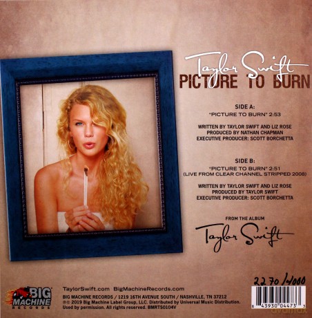 Taylor Swift: Picture To Burn (Smoke Gray) [Winyl]