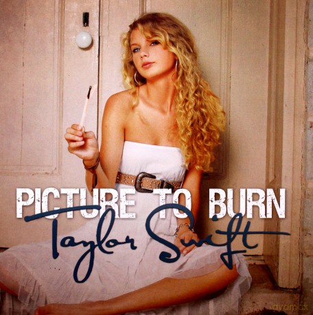 Taylor Swift: Picture To Burn (Smoke Gray) [Winyl]
