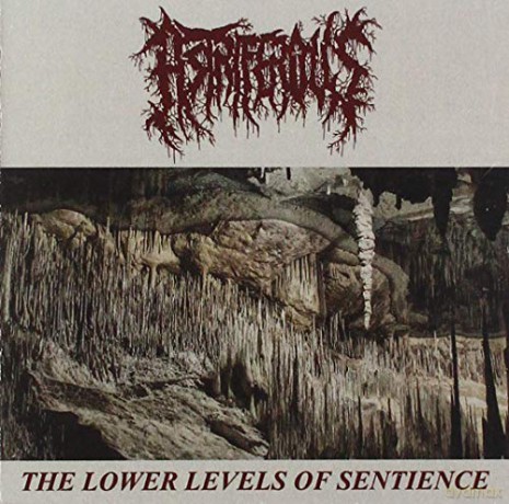 Astriferious: The Lower Levels Of Sentience [CD]