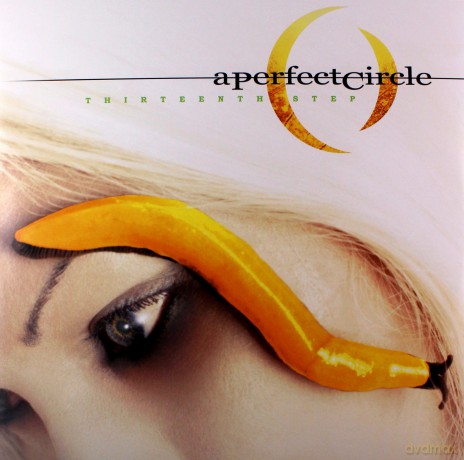 Perfect Circle: Thirteenth Step [2xWinyl]
