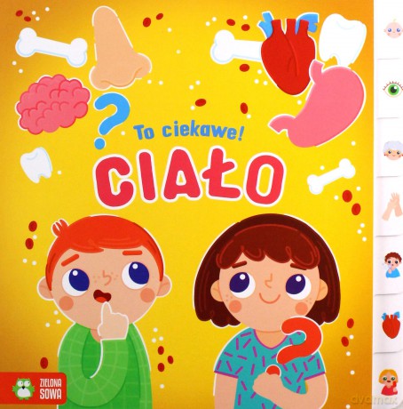 To ciekawe! Ciało - Basia Supeł [KSIĄŻKA]