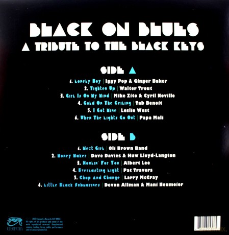 V/A: Black On Blues - A Tribute To The Black Keys [Winyl]