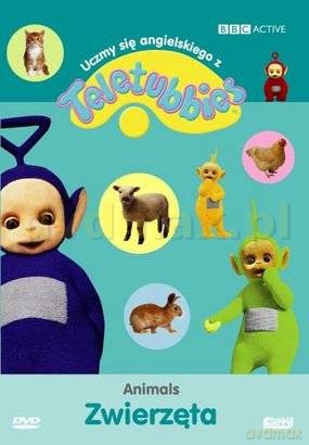 Teletubisie: Pierwsze kroki z angielskiego - Zwierzęta (BBC) [DVD]