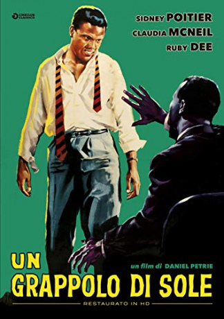 A Raisin in the Sun (Rodzynek w słońcu) [DVD]