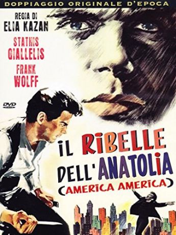 America America (Ameryka, Ameryka) [DVD]