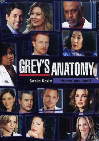 Grey's Anatomy: Season 6 (Chirurdzy: Sezon 6) [6DVD]
