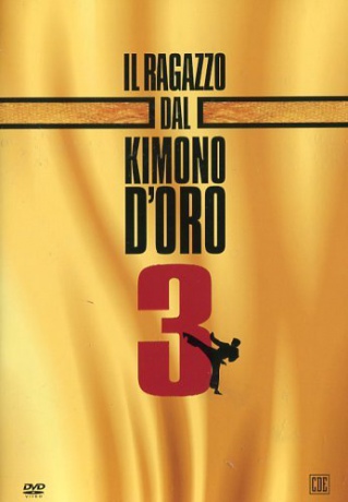 Karate Warrior 3 [DVD]