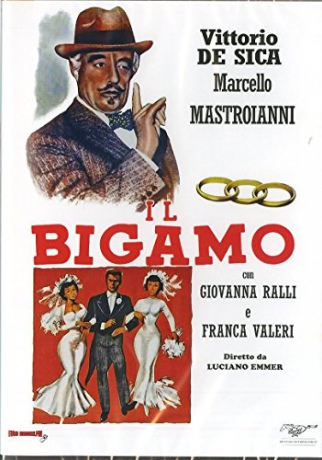 The Bigamist (Bigamista) [DVD]