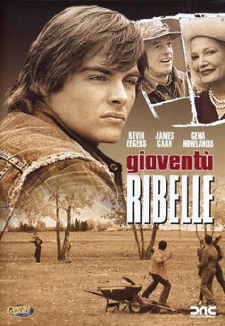 The Incredible Mrs. Ritchie [DVD]