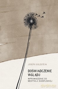 Doświadczenie wglądu - Joseph Goldstein [KSIĄŻKA]