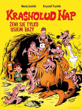 Krasnolud Nap żeni się tylko osiem razy (Tom 4) - Maciej Jasiński, Krzysztof Trystuła [KOMIKS]