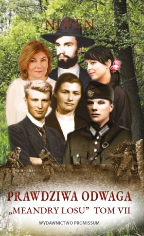 Meandry losu (Tom 7) Prawdziwa odwaga - Niwen [KSIĄŻKA]