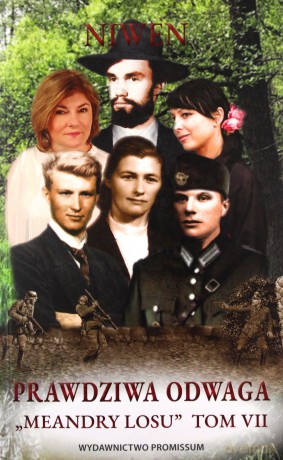 Meandry losu (Tom 7) Prawdziwa odwaga - Niwen [KSIĄŻKA]
