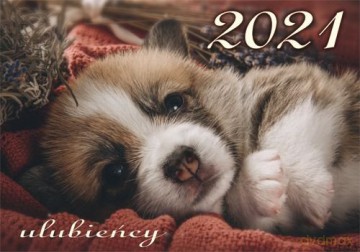 Kalendarz 2021 Ulubieńcy KA 4 [KALENDARZ]