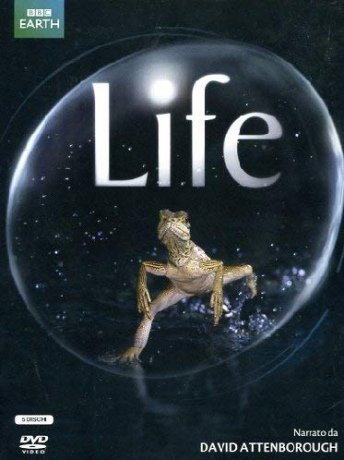 Life (Życie) [5DVD]