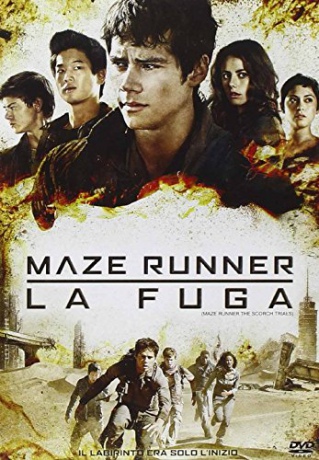 Maze Runner: The Scorch Trials (Więzień labiryntu: Próby ognia) [DVD]