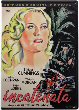 The Chase (Pościg) [DVD]